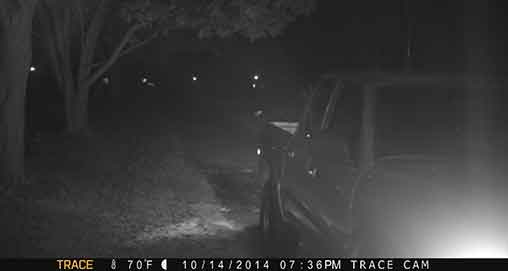 moultrie_image.jpg