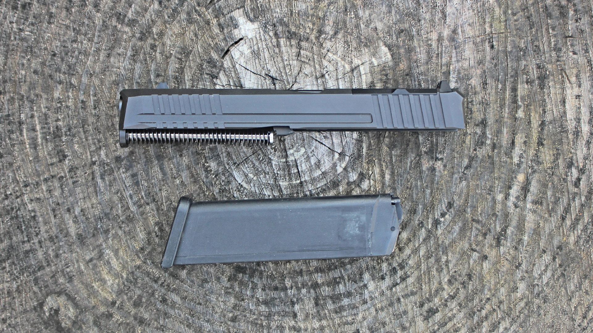 Lone Wolf slide assembly with magazine on log