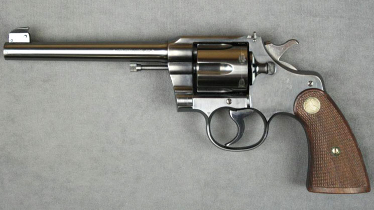 ladycolt.jpg