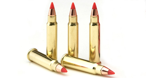 Behind the Bullet: .17 HMR  An Official Journal Of The NRA