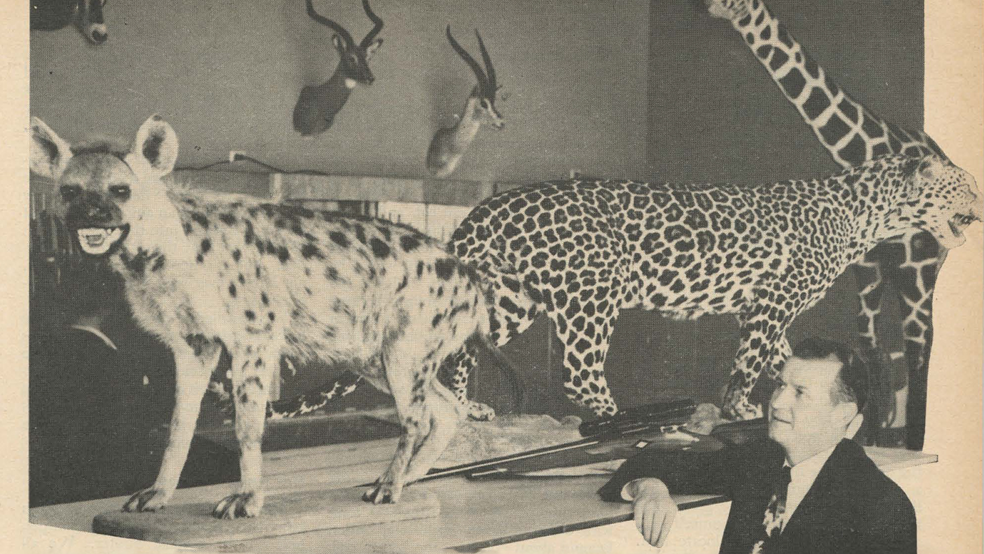 Roy Weatherby Velocity Web