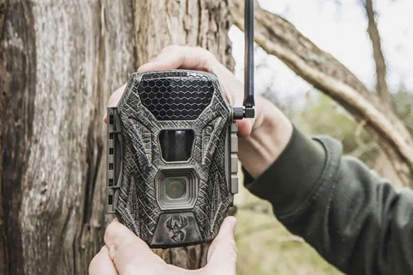 Product Preview: Wildgame Innovations Terra Cell Game Camera