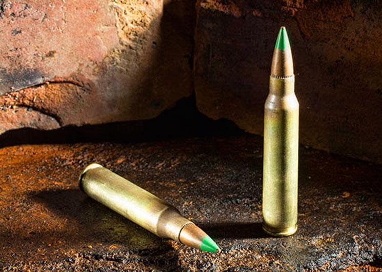 ar_15.jpg