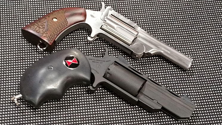 naa_naa_2-guns.jpg