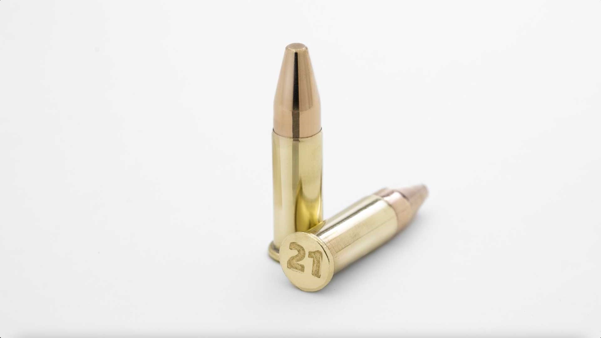 New For 2024: Savage Arms Rifles In .21 Sharp | An Official Journal Of ...