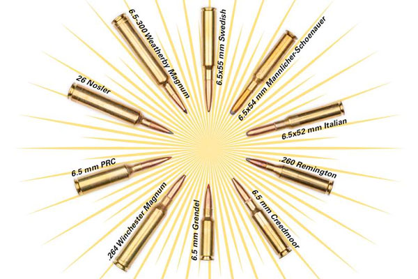 Quick Hits On 10 6.5 mm Cartridges