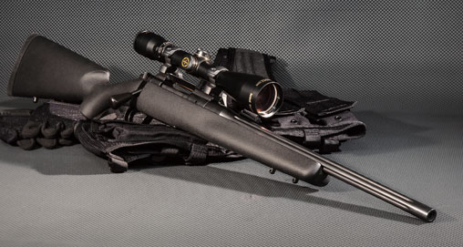 201342281028-kimber8400_f.jpg
