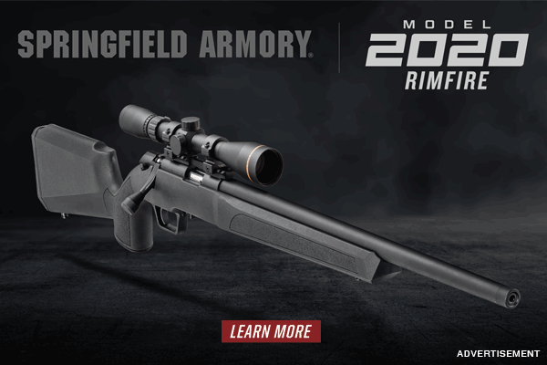NEW Springfield Armory Model 2020 Rimfire – Now Available