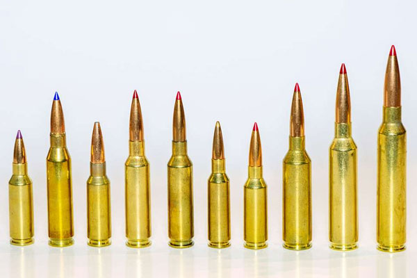 Evolution of the Precision-Rifle Cartridge