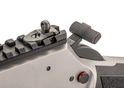 fully adjustable XS rear aperture sight