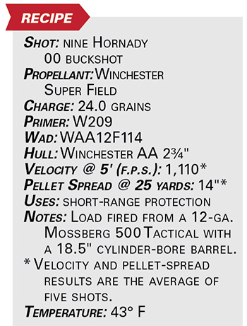 00 buckshot specs