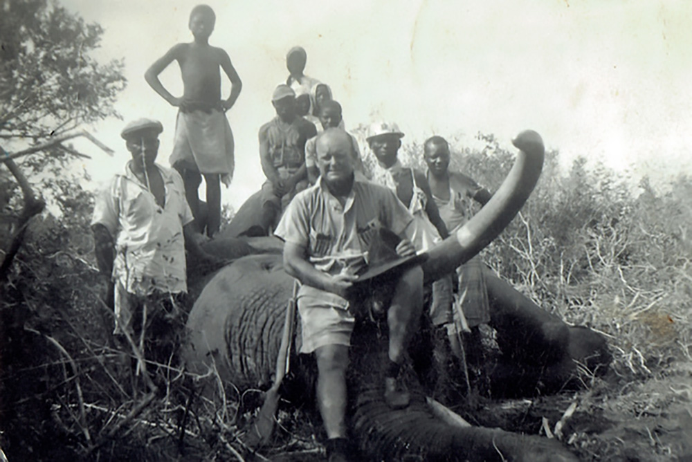 Wally Johnson with a huge Mozambique elephant