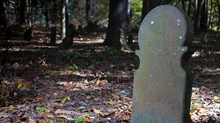 cemetery.jpg