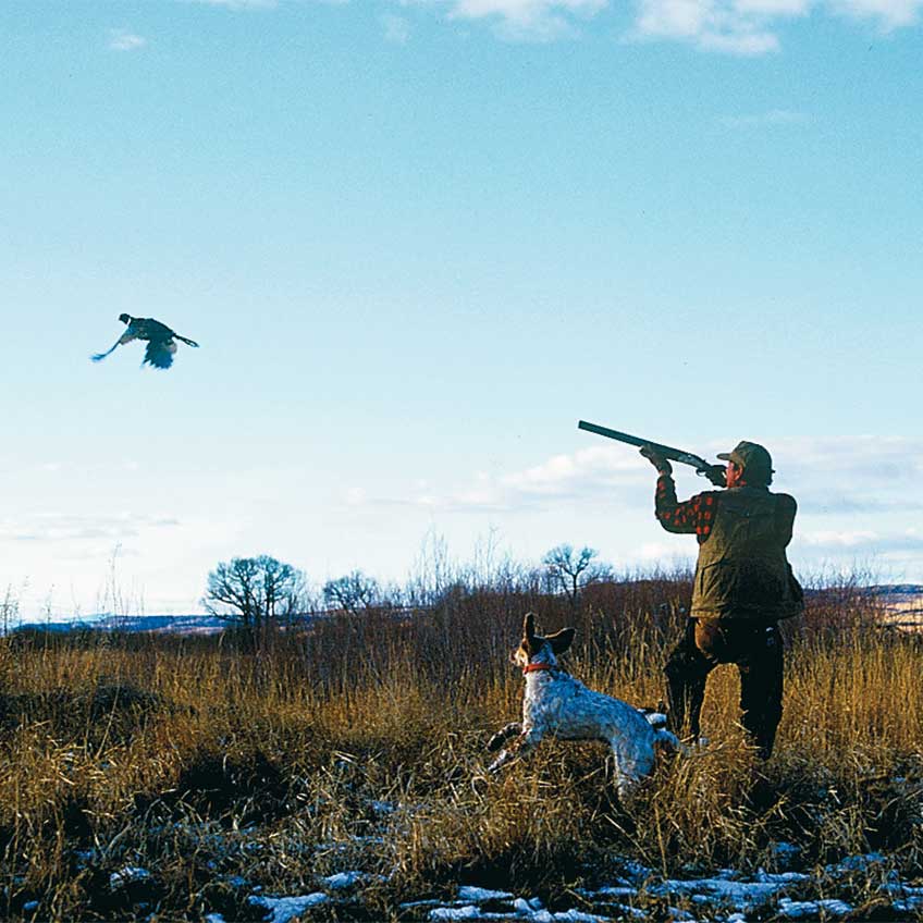 A Hunter's Guide to Trap & Skeet Shooting