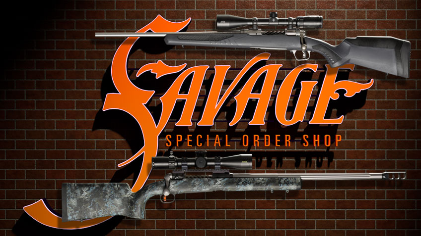 savage 110 rifle serial number lookup
