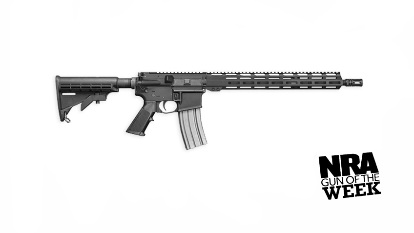 NRA Gun of the Week: Del-Ton Sierra 316L MLOK | An Official Journal Of ...