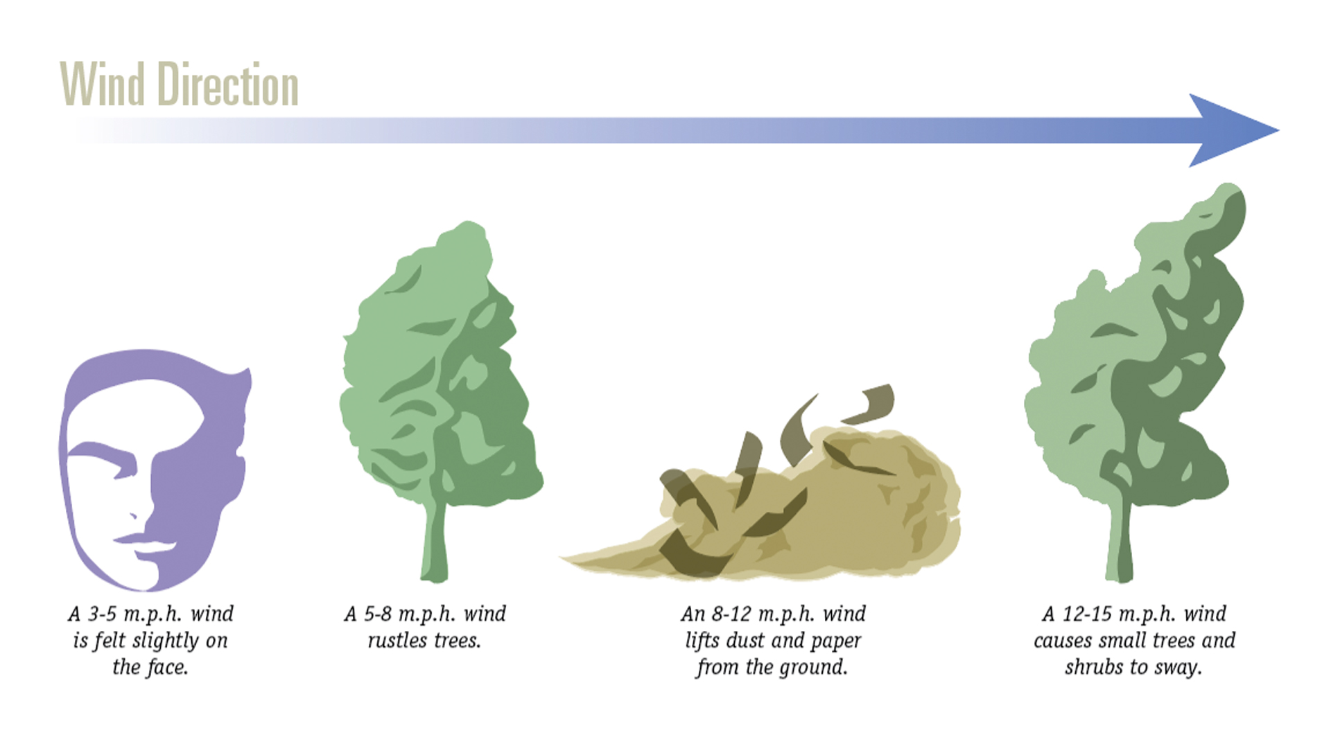 Wind Reading