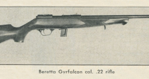 201052715719-gyrfalcon_fs.jpg