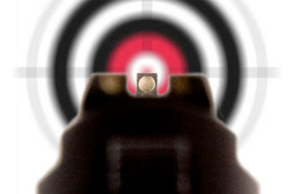 Sight Alignment and Sight Picture Means Hitting Your Target