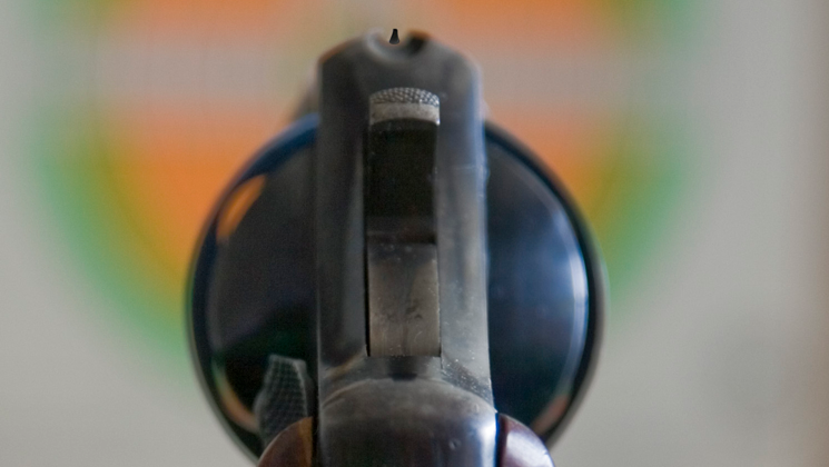 sights_lede_fixed-sight-on-target.png