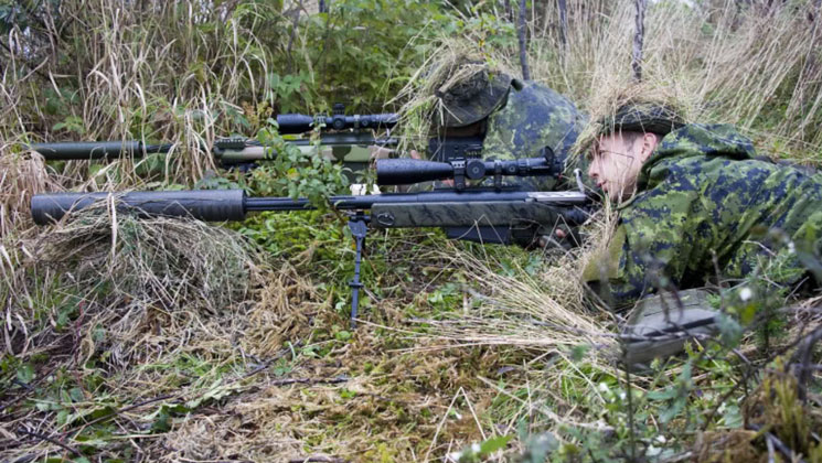 spotter.jpg