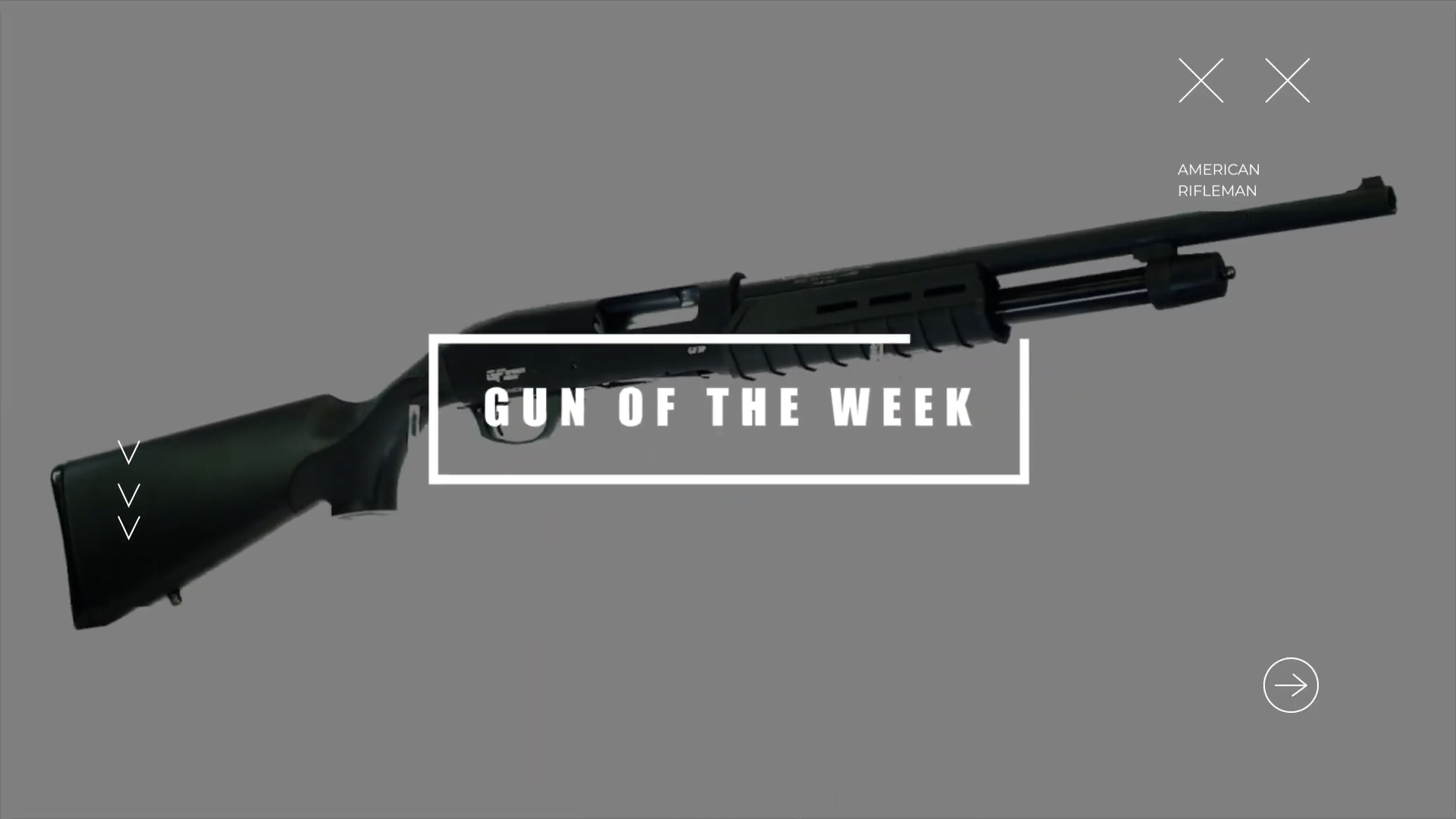 GUN OF THE WEEK text box overlay shotgun right-side view black 12 gauge gforce arms