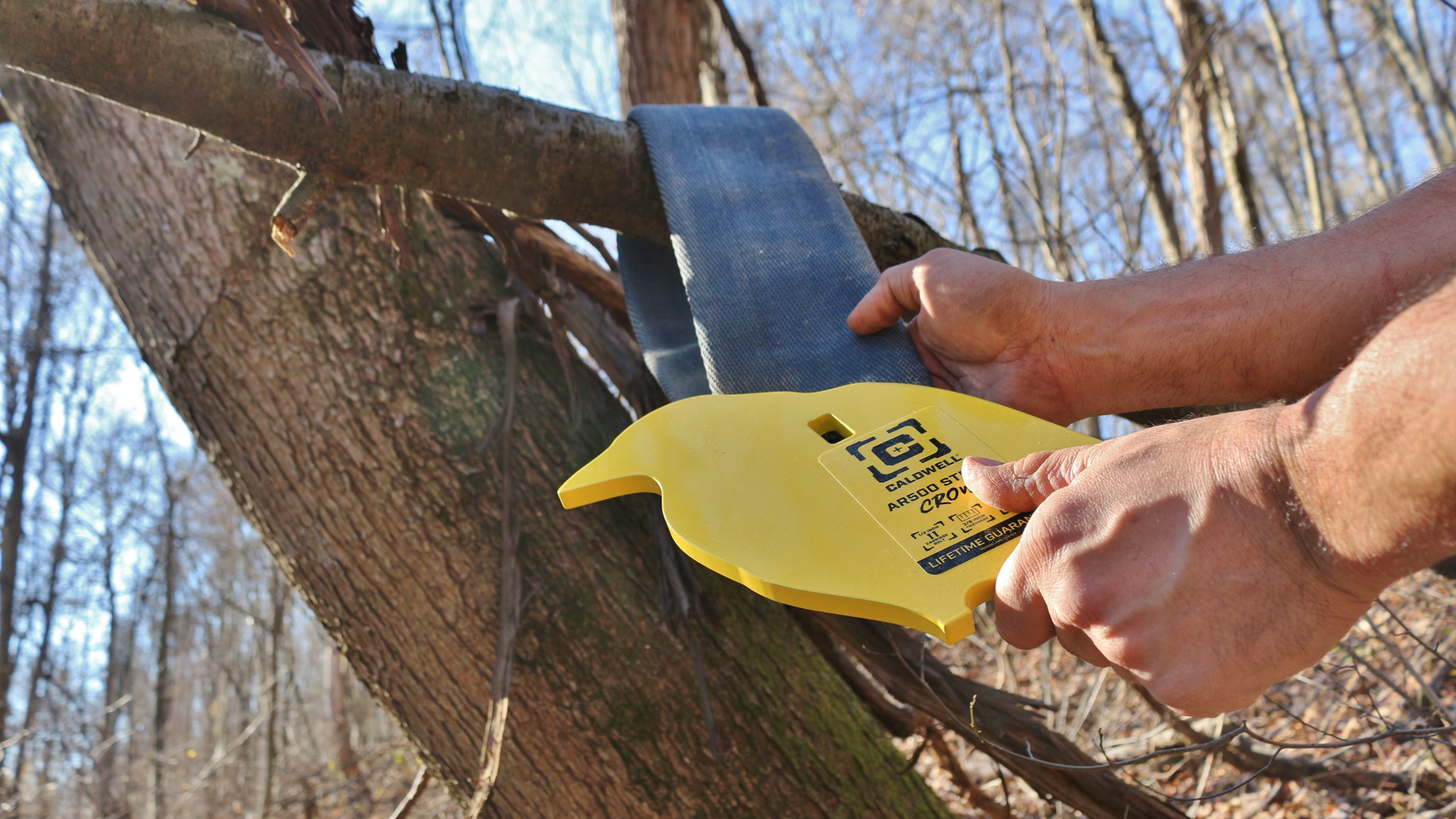 Caldwell steel crow target man arms hands hanging strap on tree branch outdoors