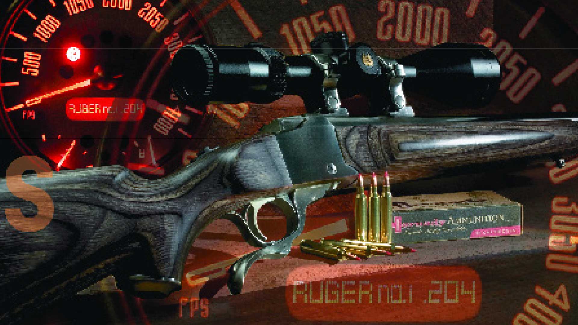 Ruger1204