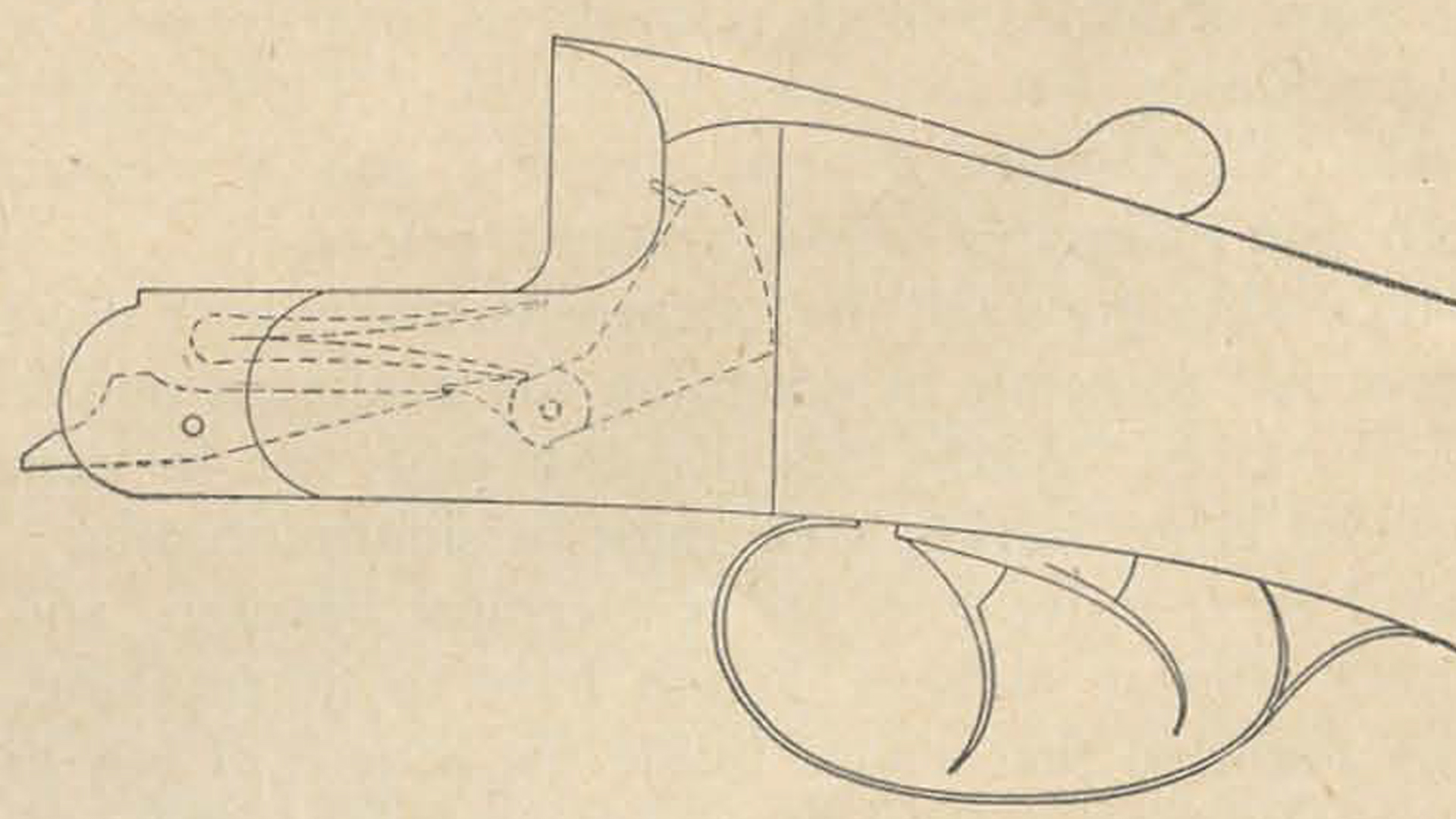 The boxlock action is the simplest, most compact gunlock, containing hammers as well as cocking levers and mainspring