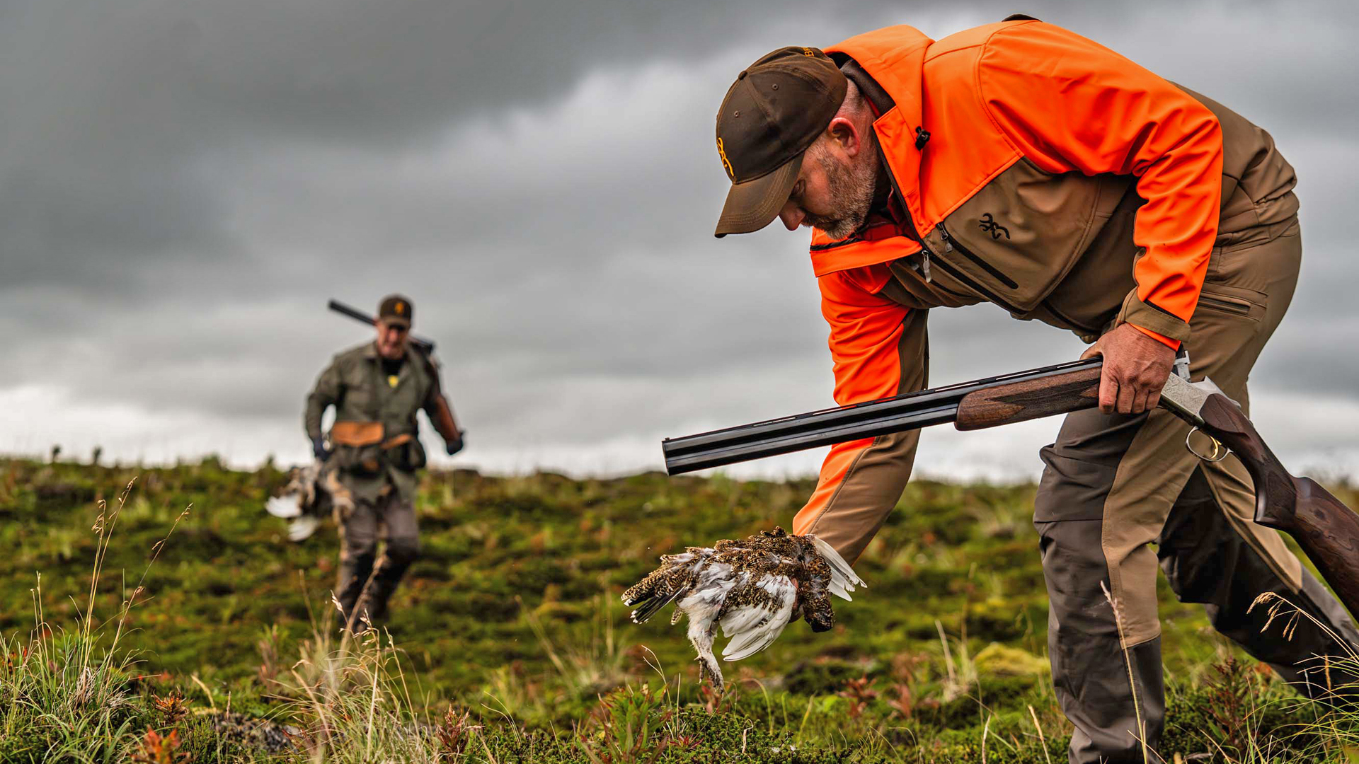 Man in an orange hunting jacket picks up game birds from a field while holding a Browning over-under shotgun.