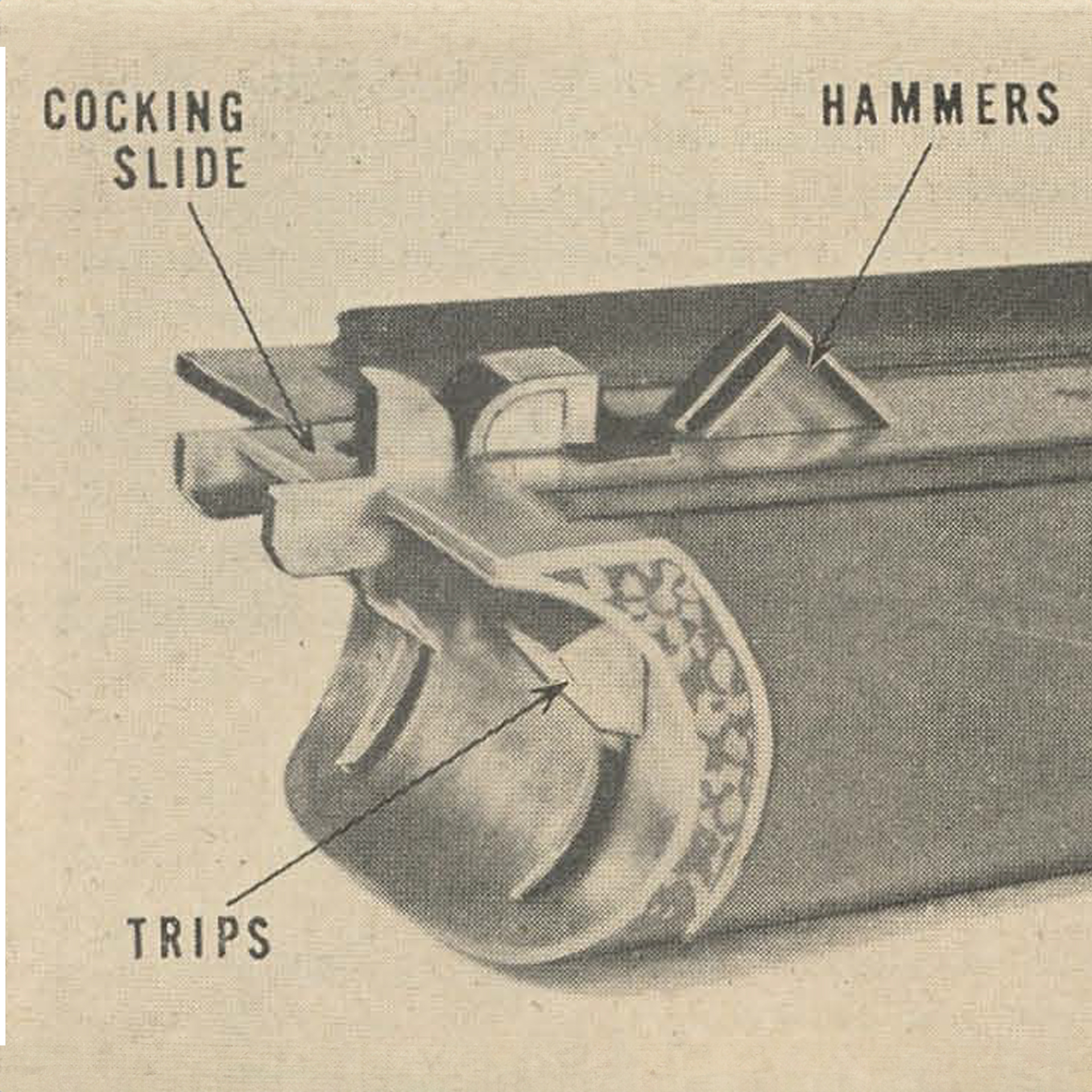 Ejector hammers in fore-end are tripped by cocking levers. After firing. the hammers give ejecting action by striking the extractors