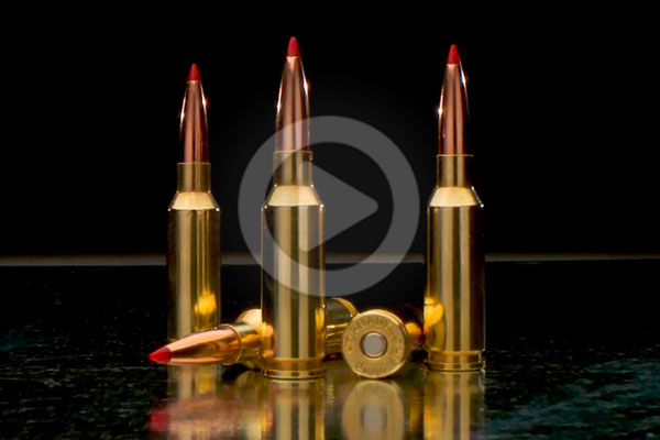 Hornady's 6 mm ARC