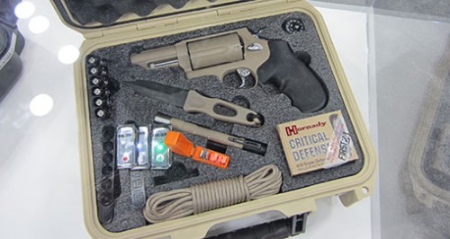 taurus_1st24_judge-500x266.jpg