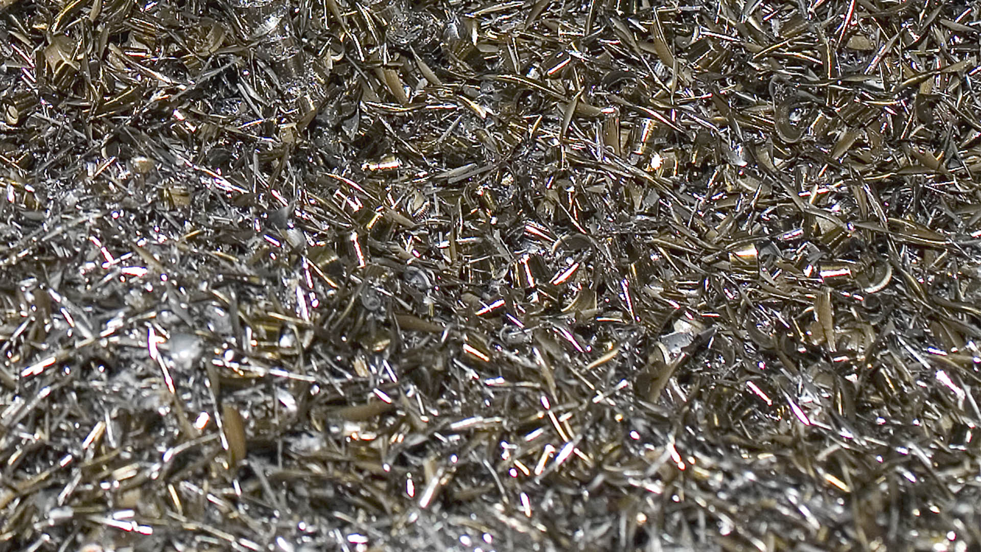 Trend Raw Material 1