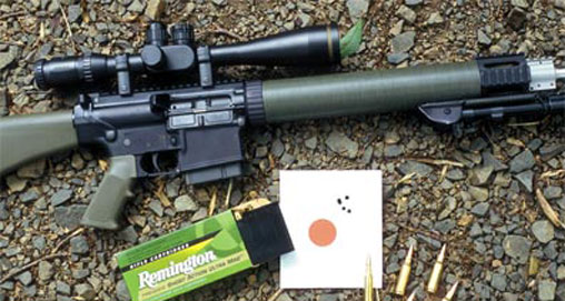 2009629133648-armalite10_fs.jpg