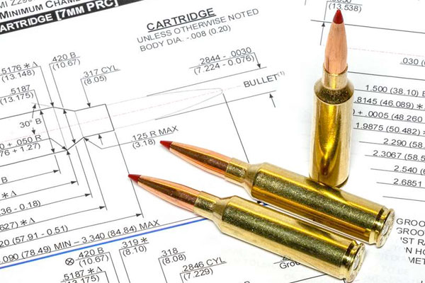 The Basics of Cartridge Development