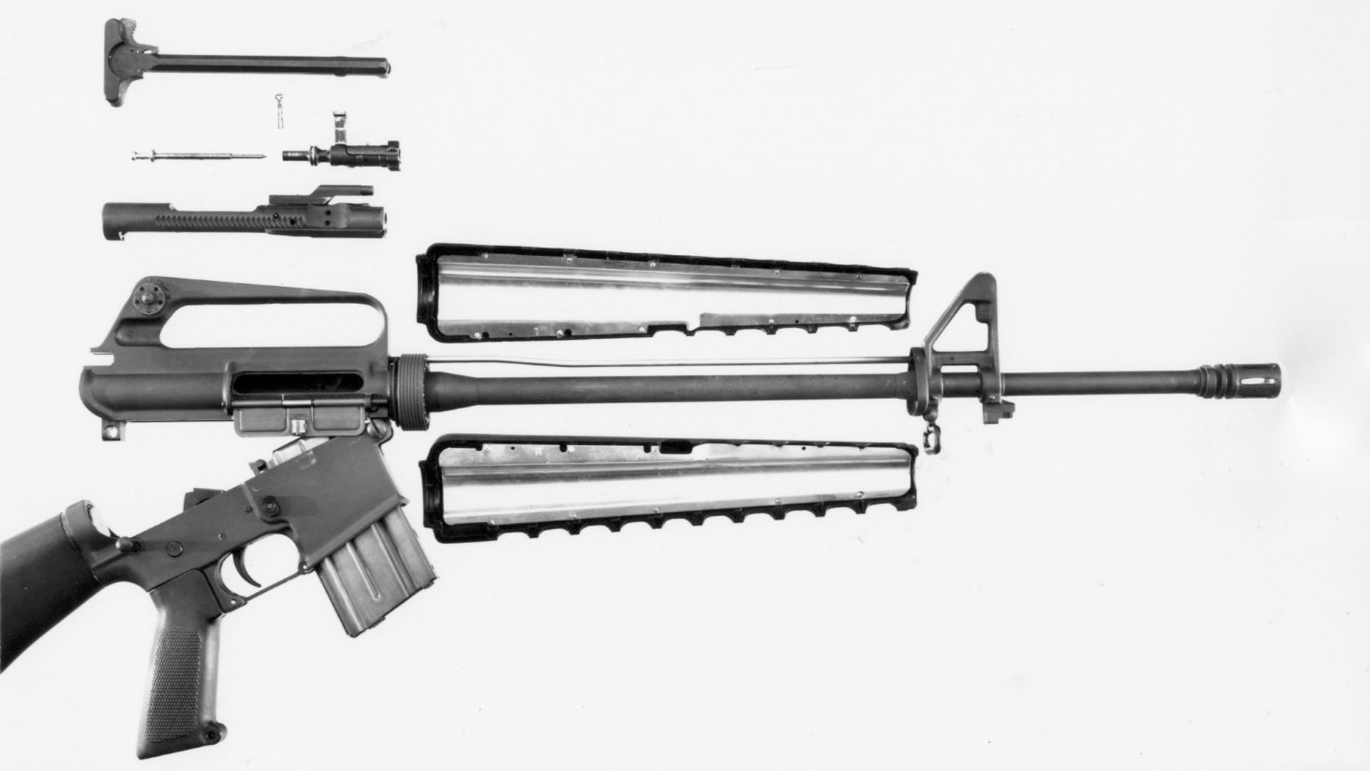 ArmaLite AR-15 disassembled right-side view on white