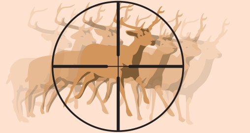 deer.jpg