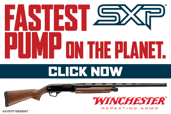 The Winchester SXP, the Pump Shotgun that Thinks It's an Autoloader.