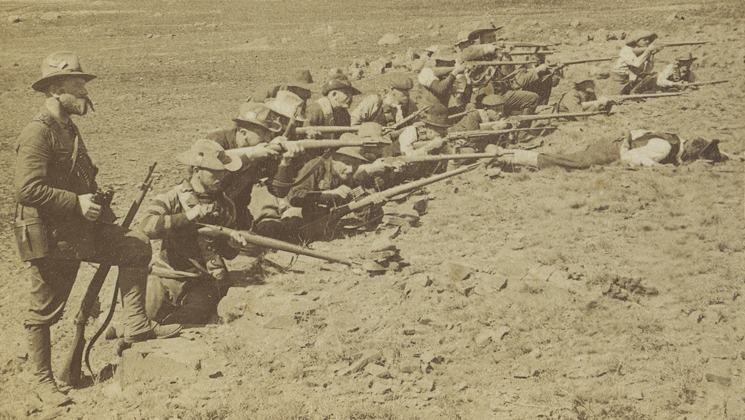 boer.jpg