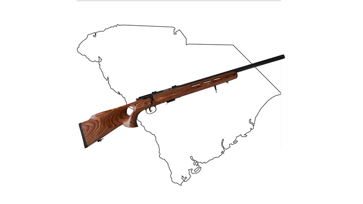 sc_gun_tax.jpg