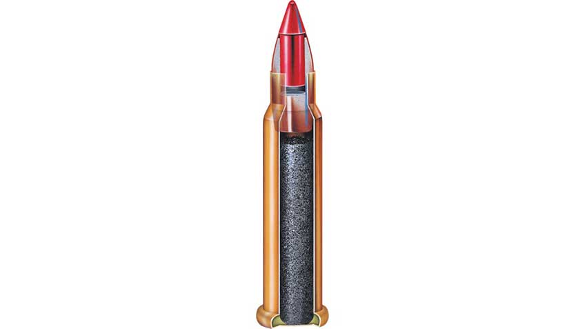 cartridge ammo 17 hmr hornady cutaway rendering drawing
