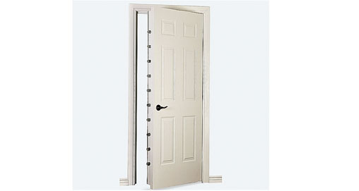 201112219859-security-door_f.jpg